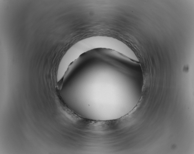 X0000096200186200802151534