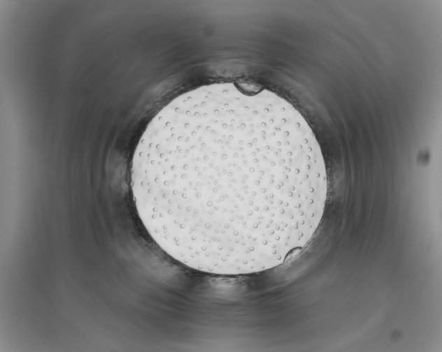 X0000096200187200802151534