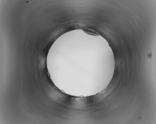 X0000096200188200802151534