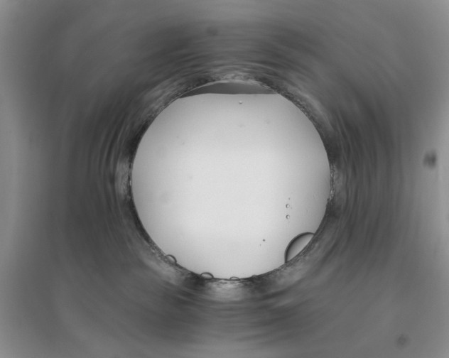 X0000096200189200802151534