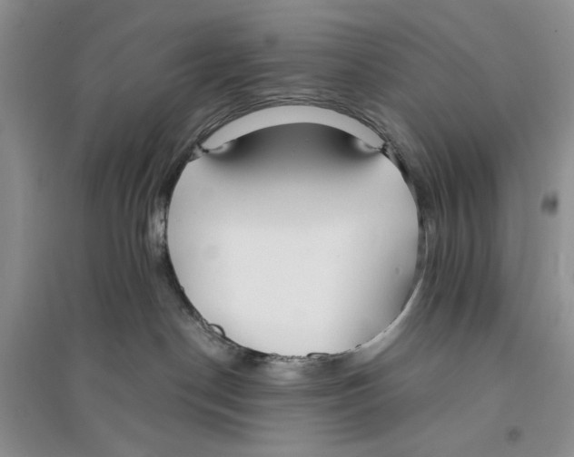 X0000096200190200802151534