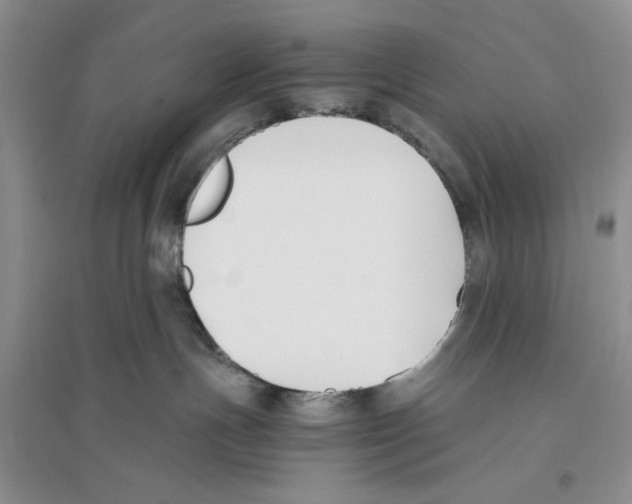 X0000096200191200802151534