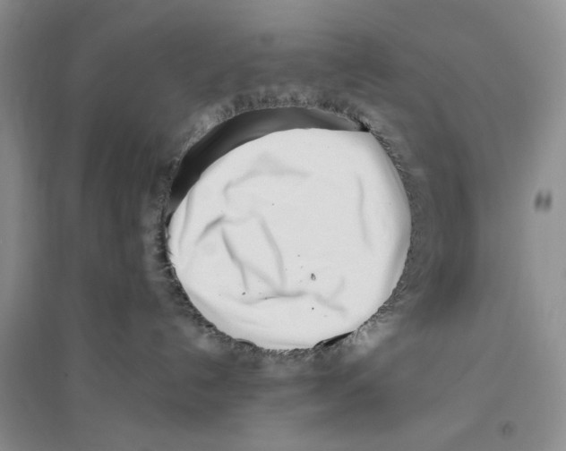 X0000096200192200802151534