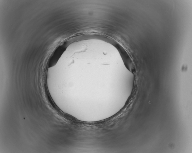 X0000096200193200802151533