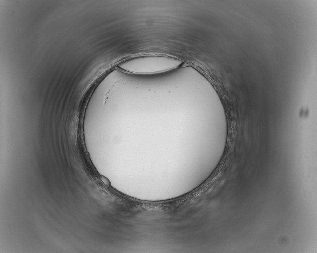 X0000096200194200802151533