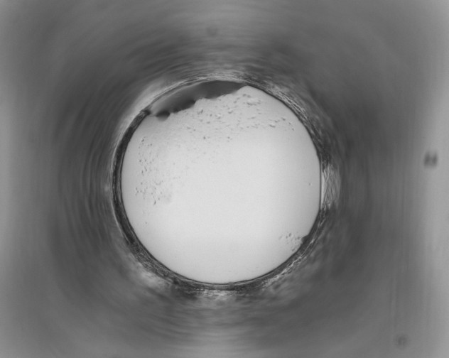 X0000096200195200802151533