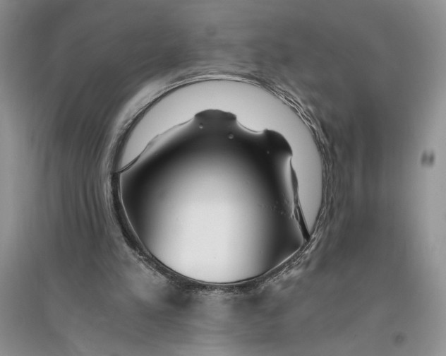 X0000096200197200802151533