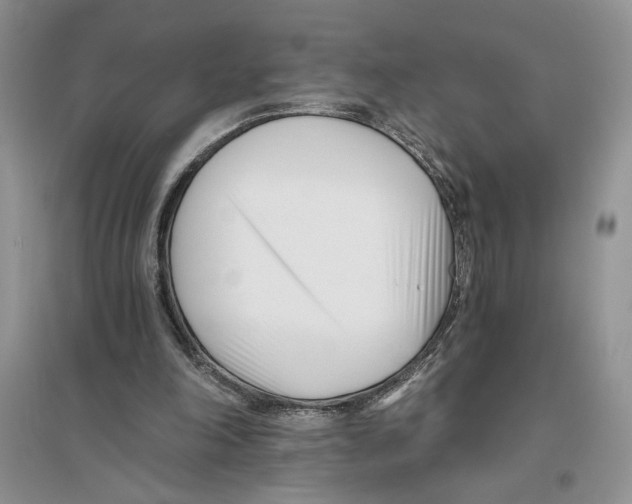 X0000096200198200802151533