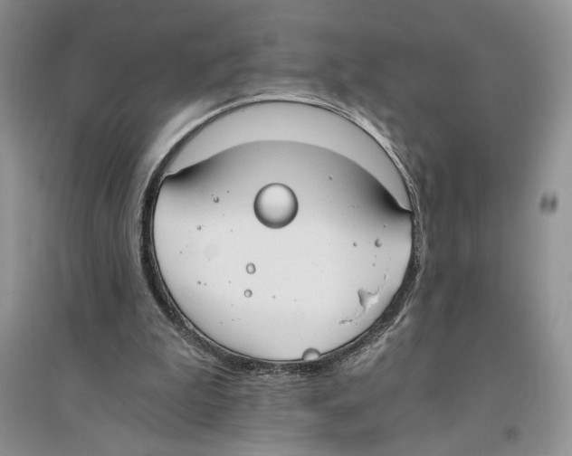 X0000096200199200802151533