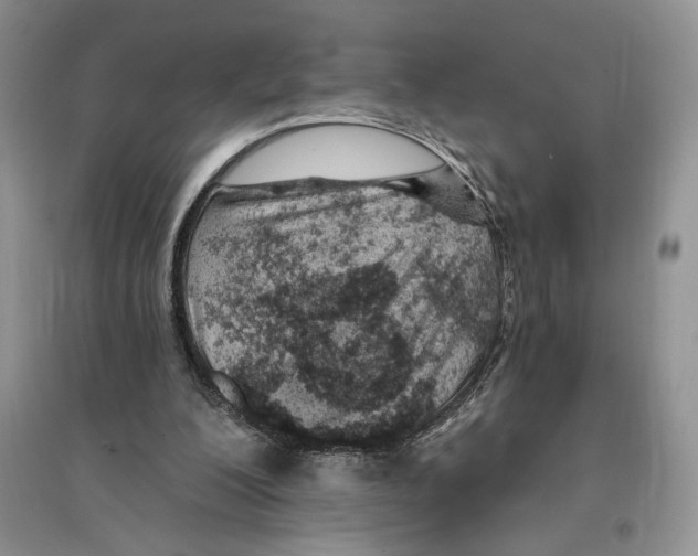 X0000096200200200802151533