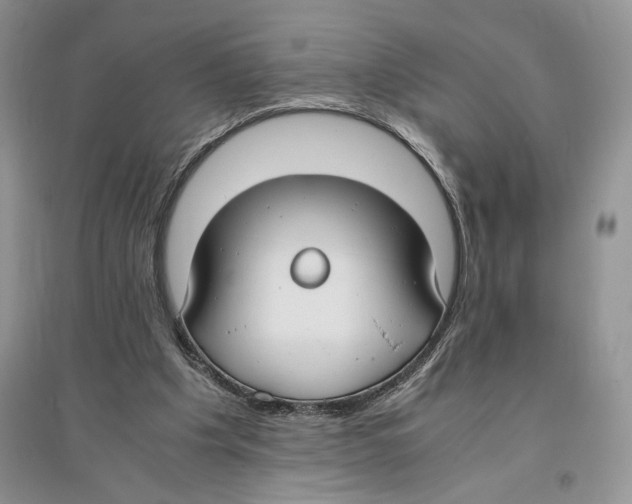 X0000096200201200802151533