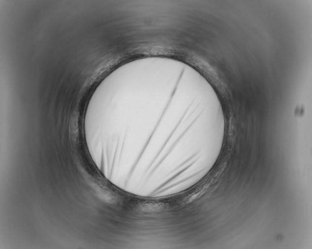 X0000096200202200802151533