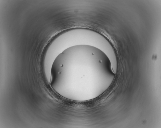 X0000096200203200802151533