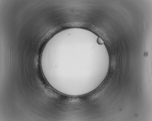 X0000096200206200802151533