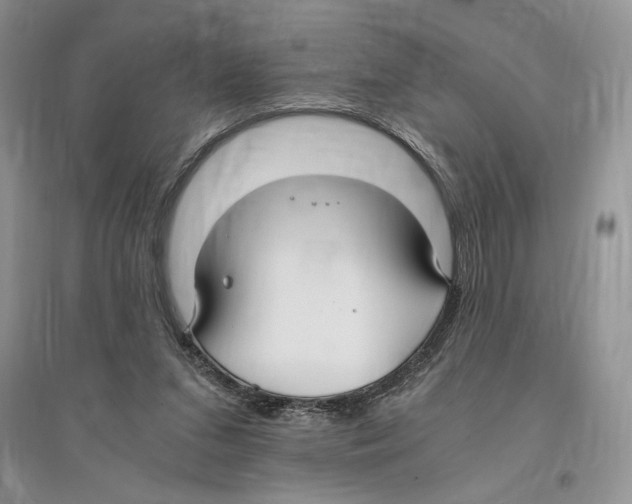 X0000096200207200802151533