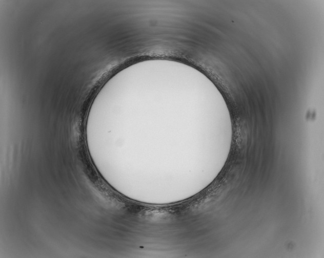 X0000096200208200802151533