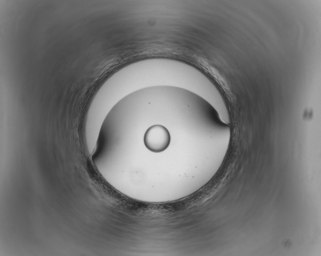 X0000096200209200802151533