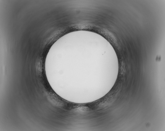 X0000096200210200802151533