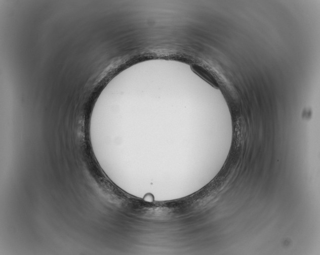 X0000096200212200802151533