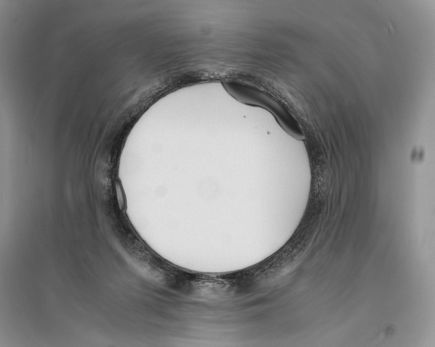 X0000096200215200802151533