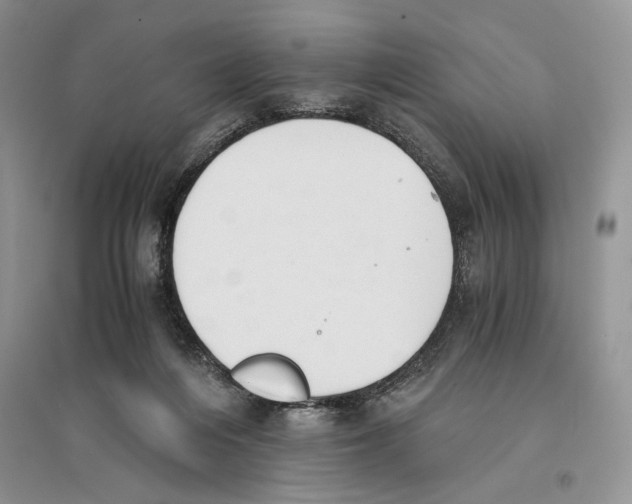 X0000096200216200802151533