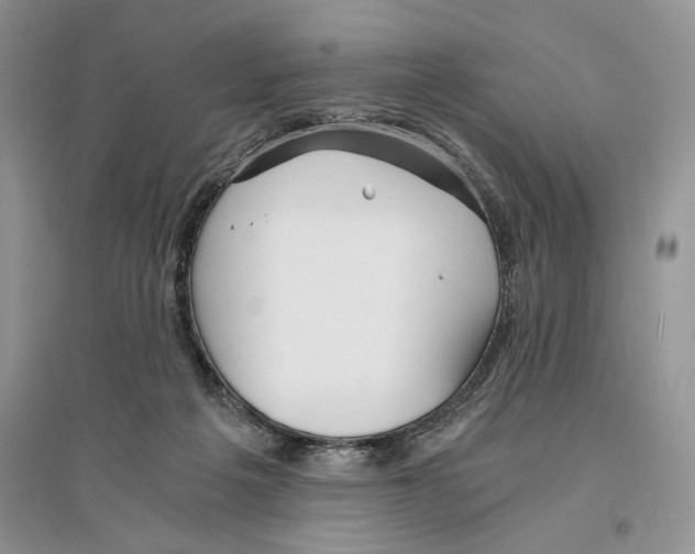 X0000096200217200802151533