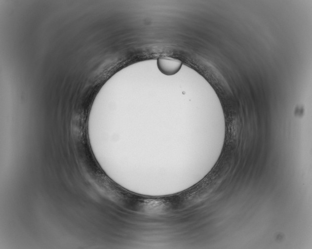 X0000096200218200802151533