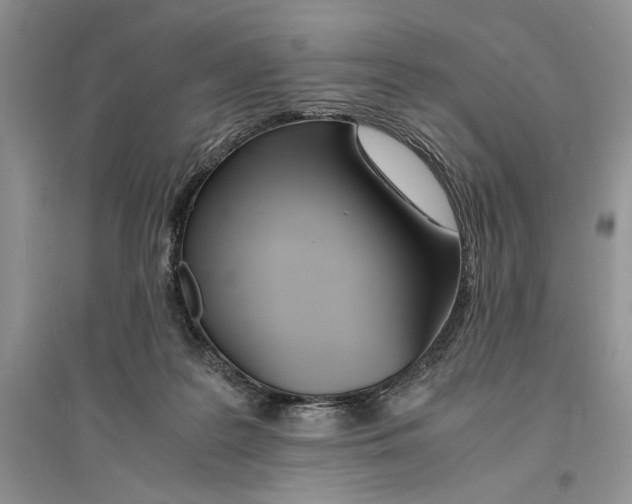 X0000096200219200802151533