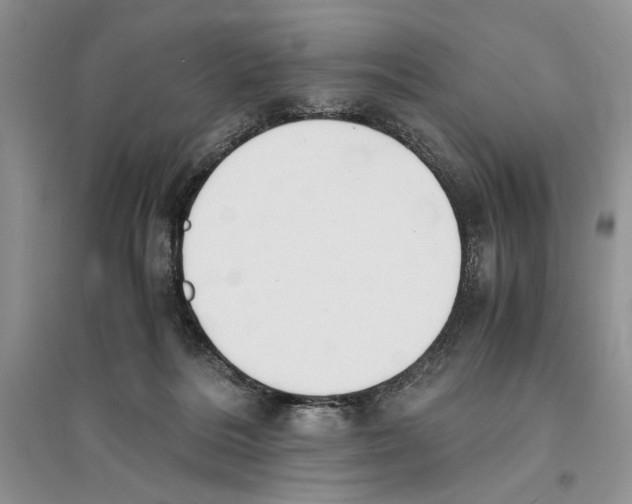 X0000096200220200802151533