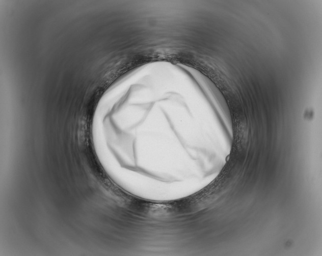 X0000096200222200802151533