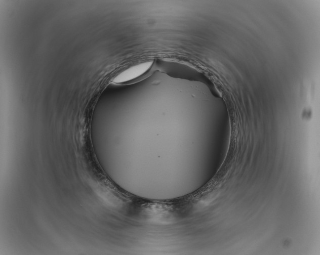 X0000096200223200802151533