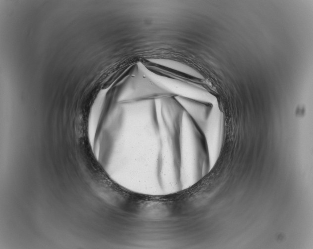 X0000096200224200802151533