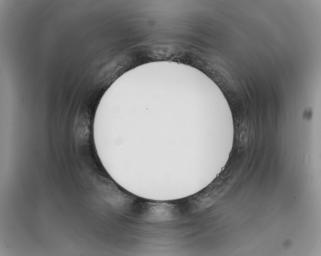 X0000096200226200802151533