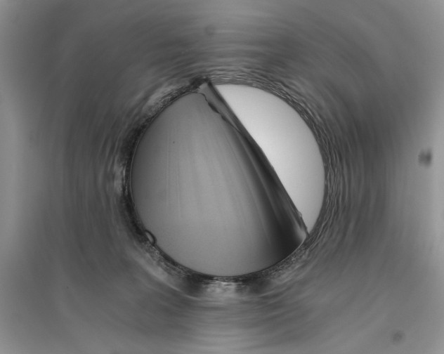 X0000096200227200802151533