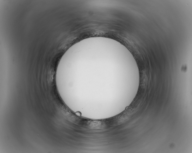 X0000096200230200802151532