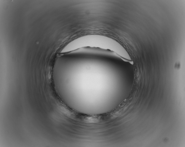 X0000096200232200802151532