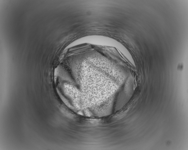 X0000096200233200802151532