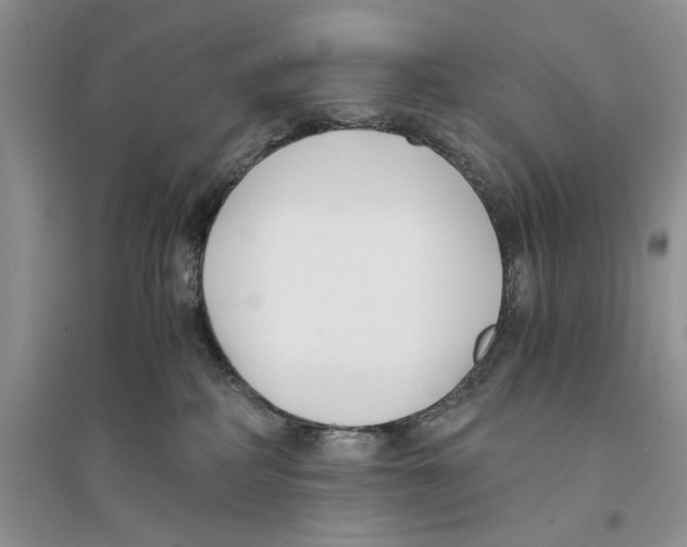 X0000096200234200802151532