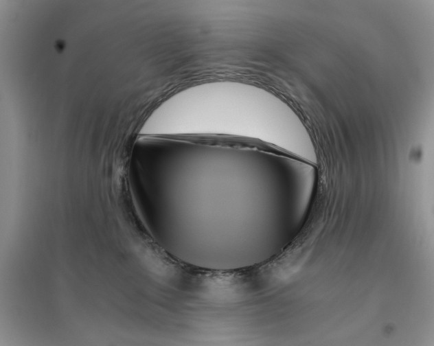 X0000096200235200802151532