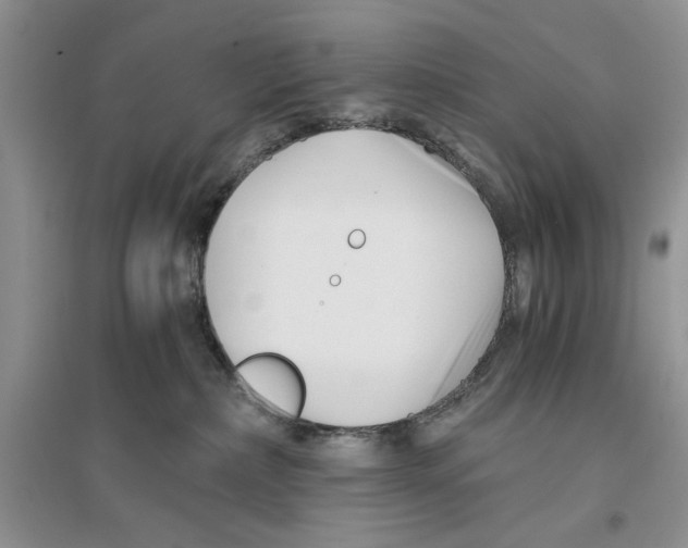 X0000096200236200802151532