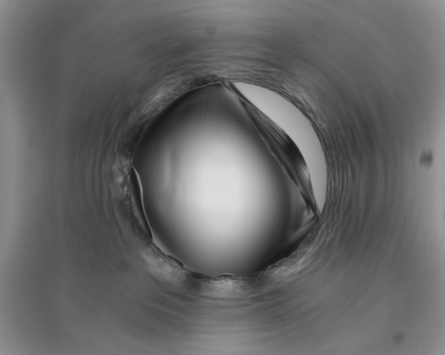 X0000096200237200802151532