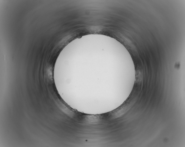 X0000096200238200802151532