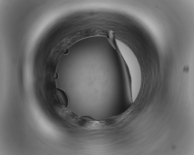 X0000096200239200802151532