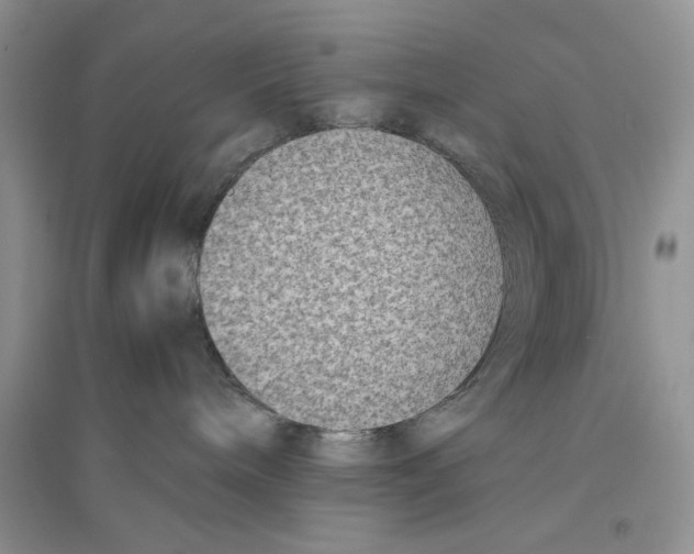 X0000096200240200802151532