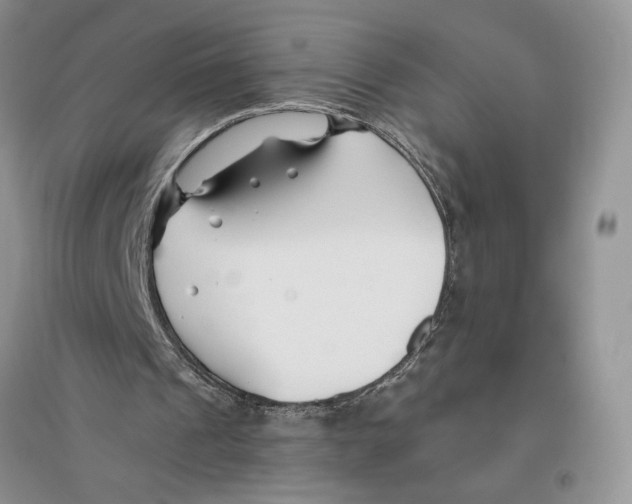 X0000096200241200802151532