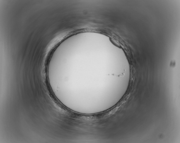 X0000096200245200802151532