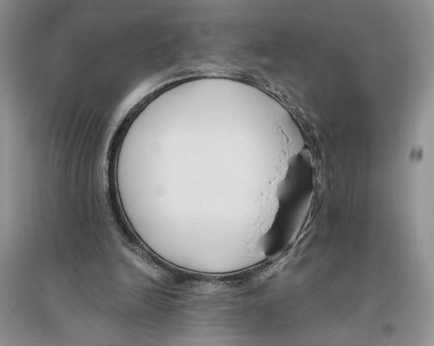 X0000096200246200802151532