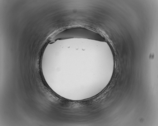 X0000096200249200802151532