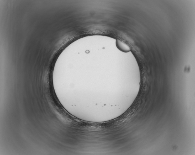 X0000096200250200802151532