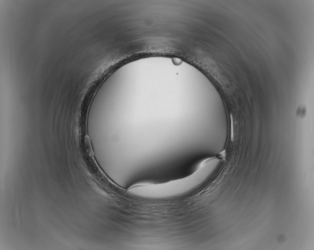 X0000096200252200802151532